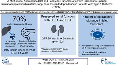 A Multi-Modal Approach to Islet and Pancreas Transplantation With Calcineurin-Sparing Immunosuppression Maintains Long-Term Insulin Independence in Patients With Type I Diabetes